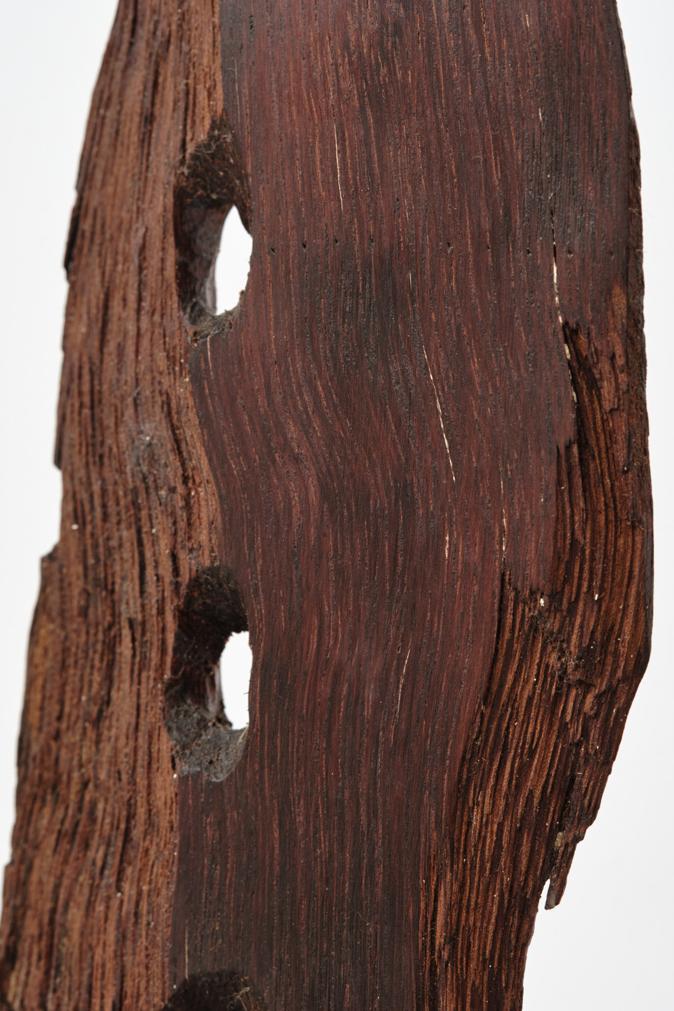 Michael Roderick Wedderburn Sculpture